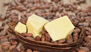 Unt de cacao: proprietăți și aplicații în cosmetologie