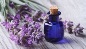 Lavender oil for hair
