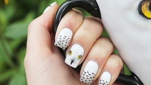 Owl manicure