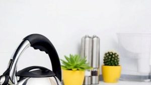 How to clean the kettle from scale?