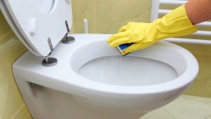 How to clean the toilet?