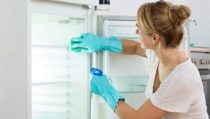 Jak mýt ledničku?