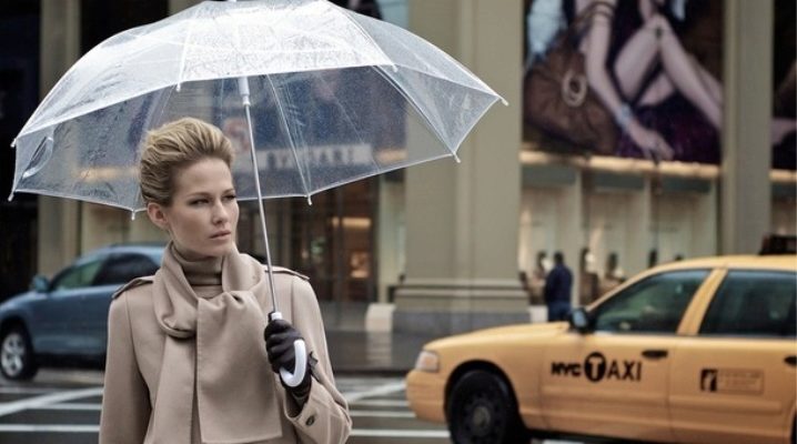 Transparent umbrella