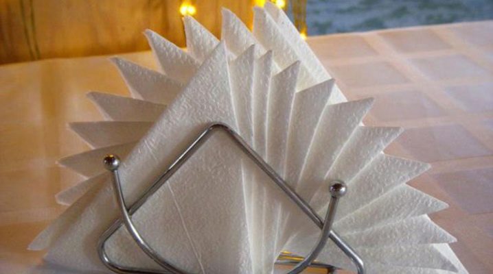 How beautifully folded paper napkins in a napkin holder?