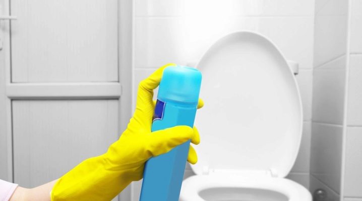 Pembersih mangkuk tandas: bagaimana untuk memilih dan menggantung dengan betul?