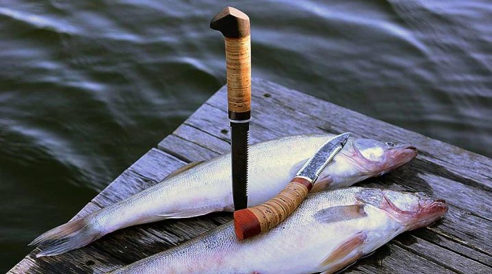 Messen om te vissen: soorten en subtiliteiten naar keuze