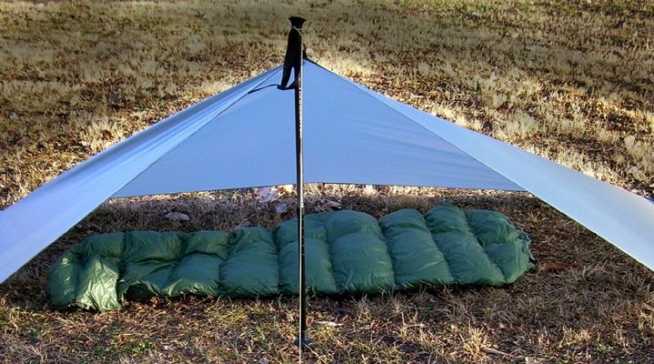 Archi da tenda: specie e suggerimenti per la scelta