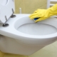 Hur rengör toaletten?