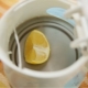 Come pulire il bollitore con acido citrico?