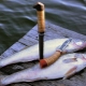 سكاكين لصيد الأسماك: أنواع ودقة في الاختيار